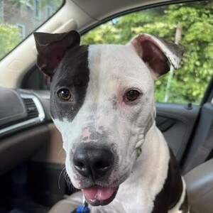 Team Page: Anchor Subaru